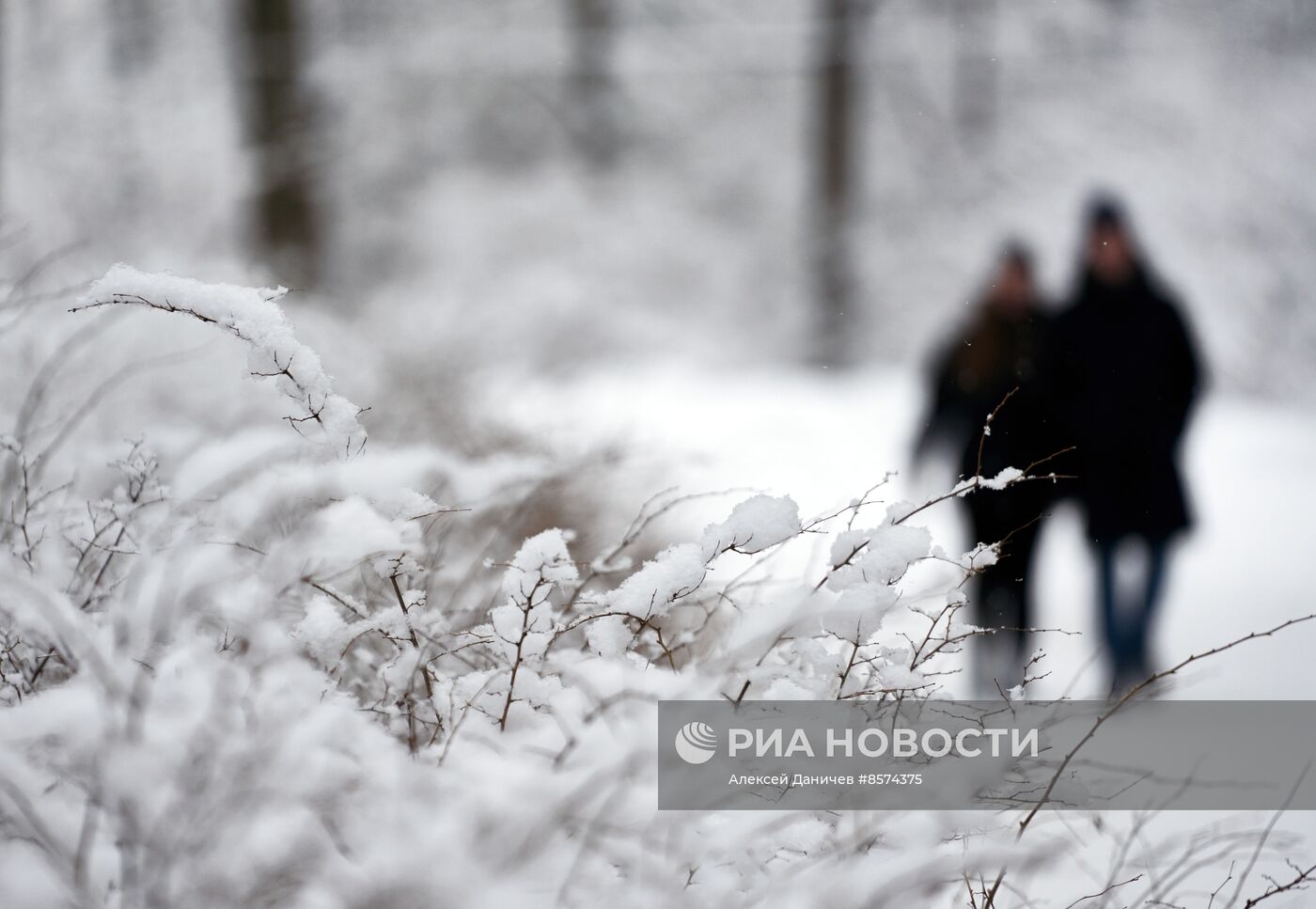 Зима в Санкт-Петербурге