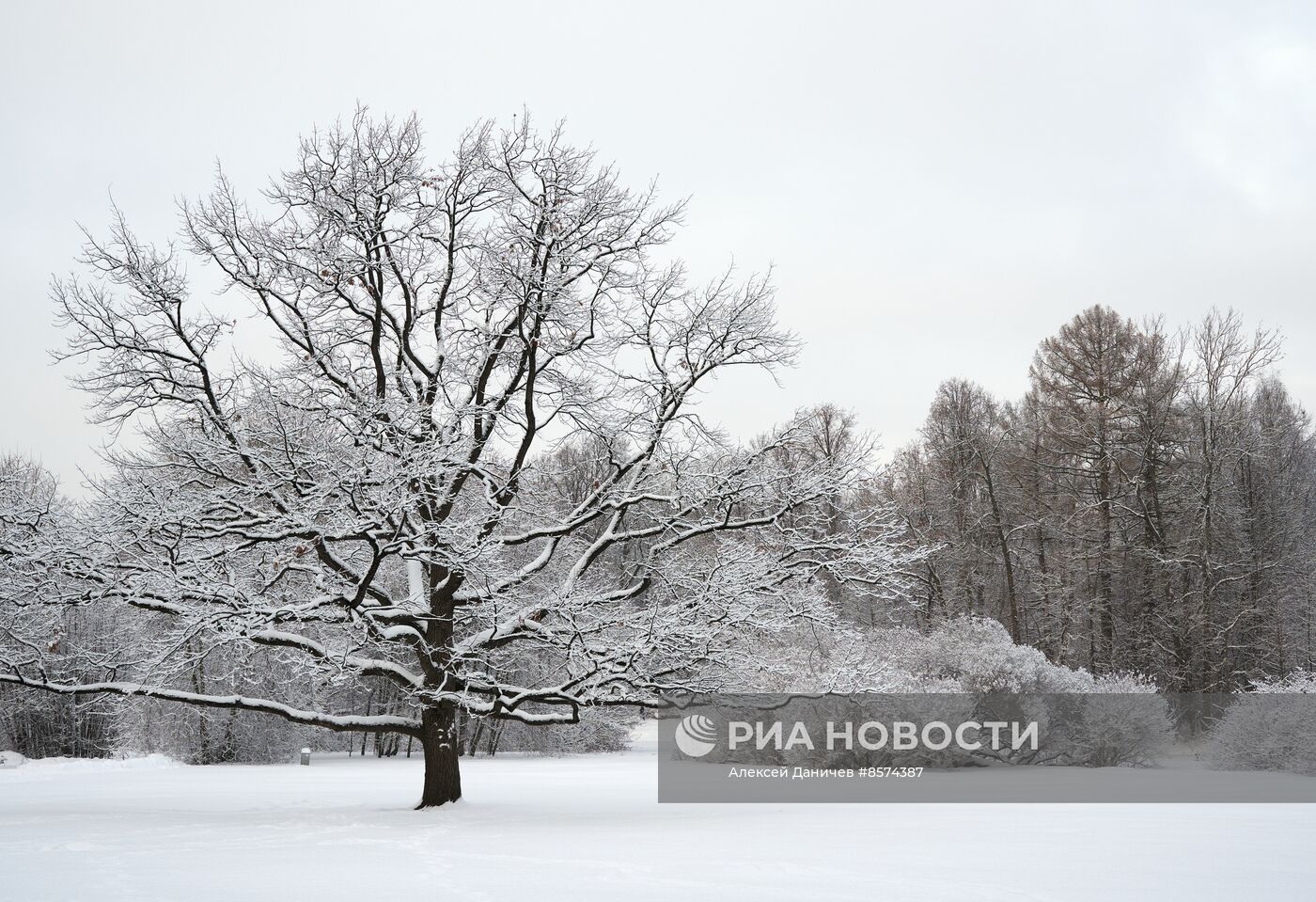 Зима в Санкт-Петербурге