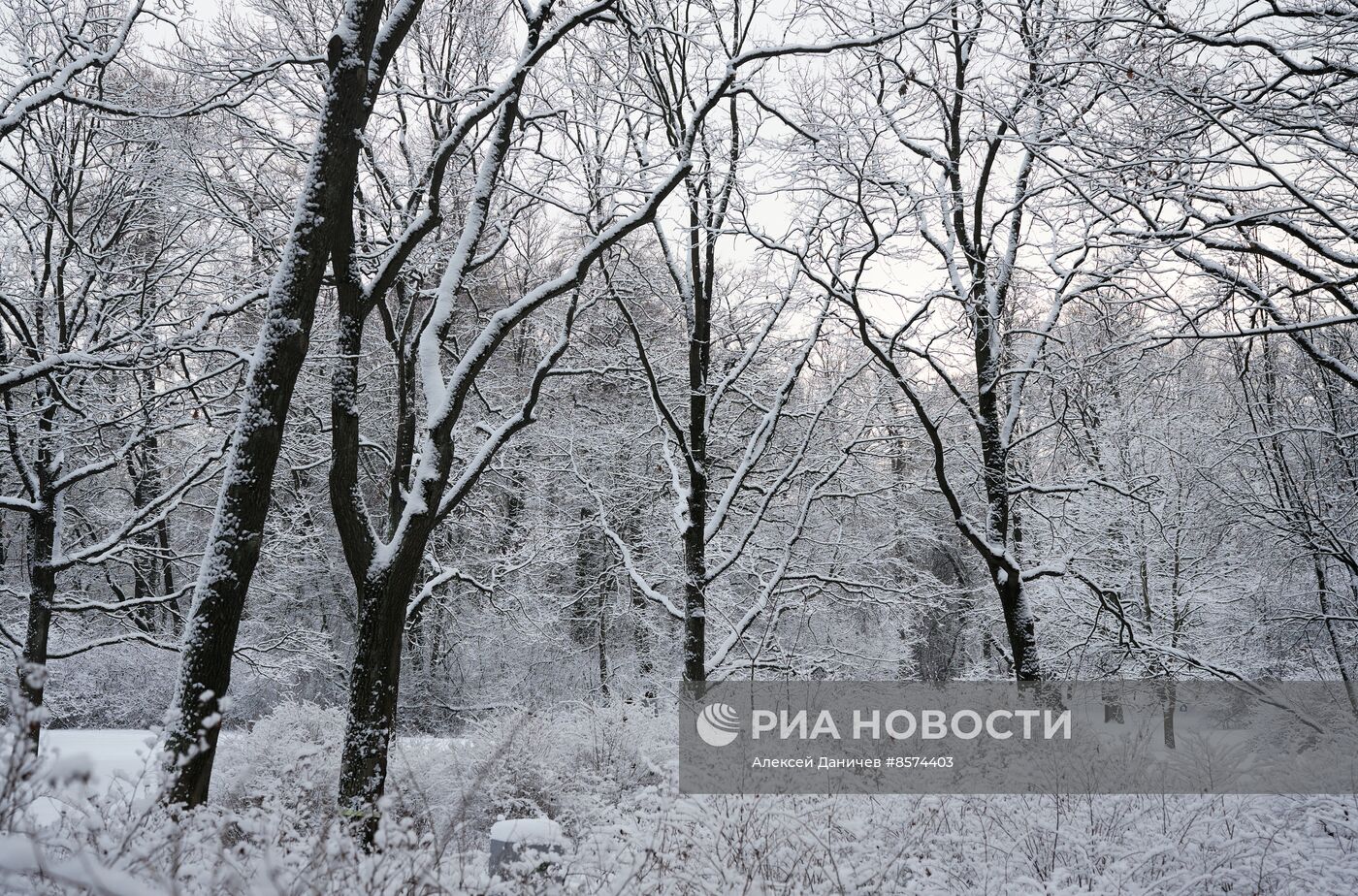 Зима в Санкт-Петербурге