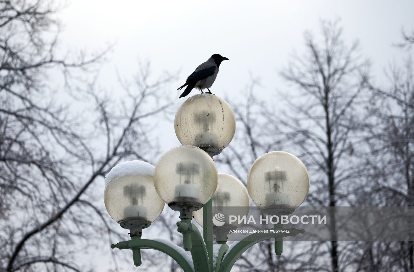 Зима в Санкт-Петербурге