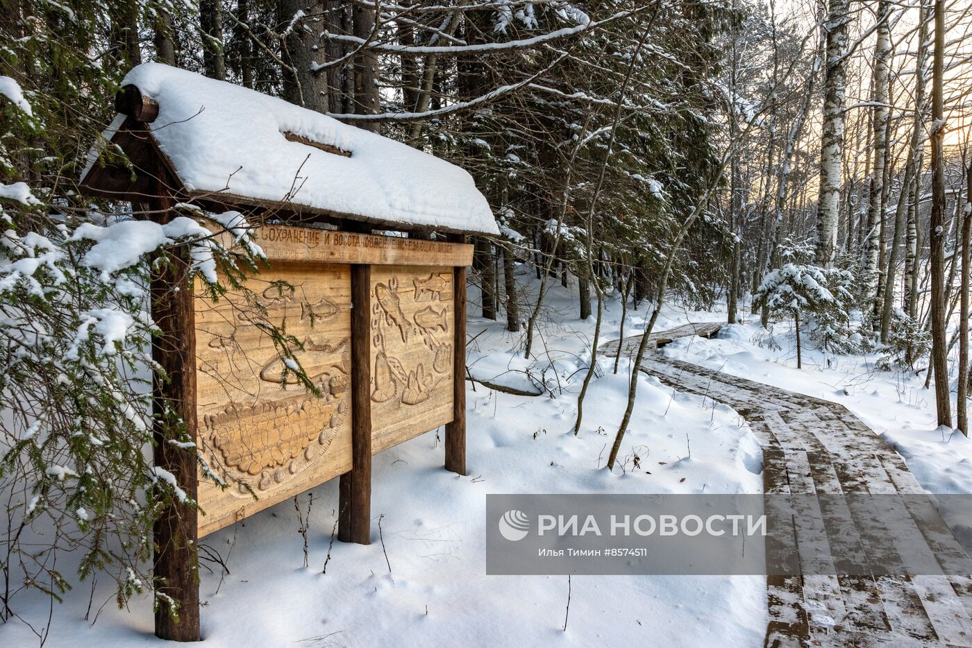 Зима в карельском природном заповеднике "Кивач"