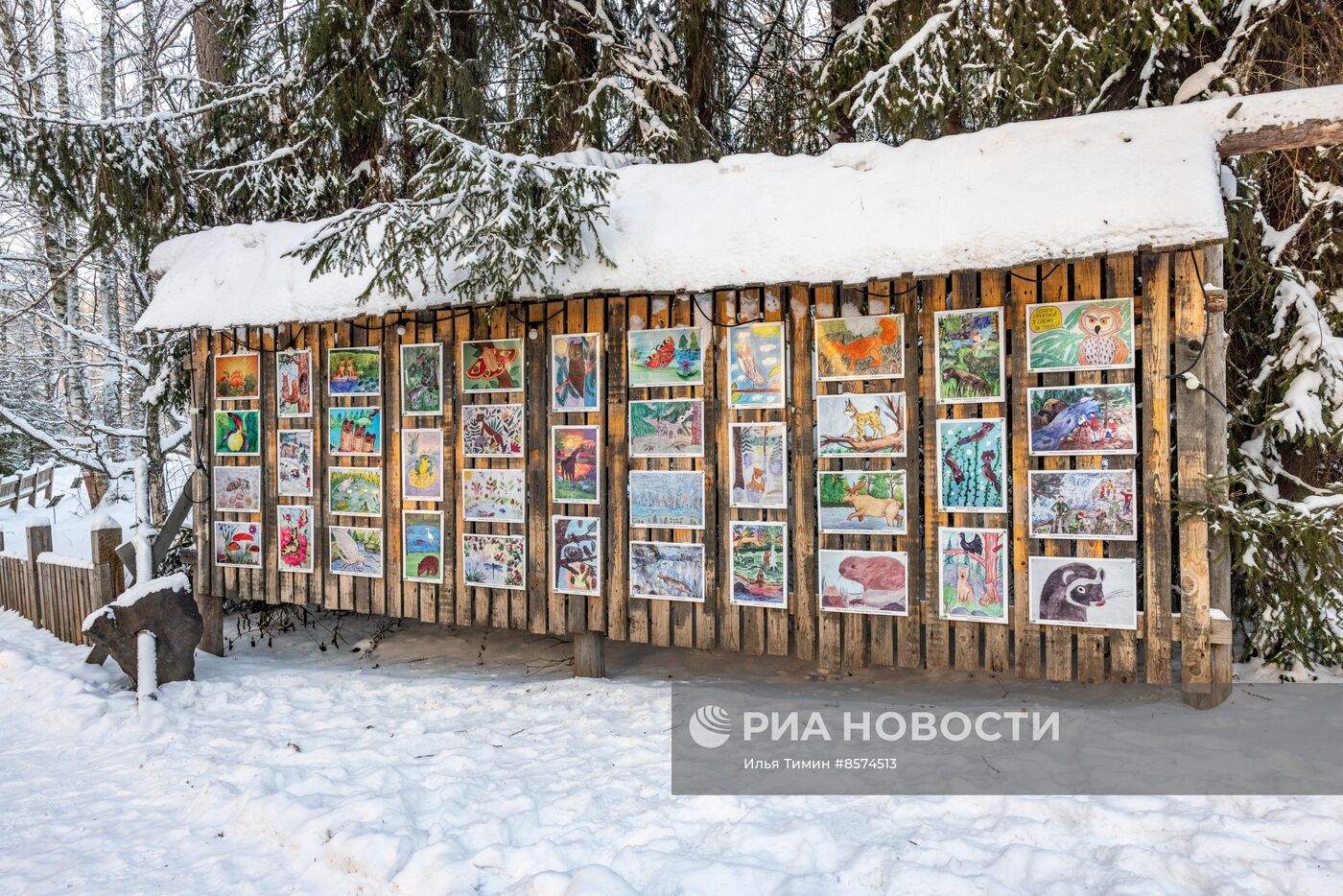 Зима в карельском природном заповеднике "Кивач"