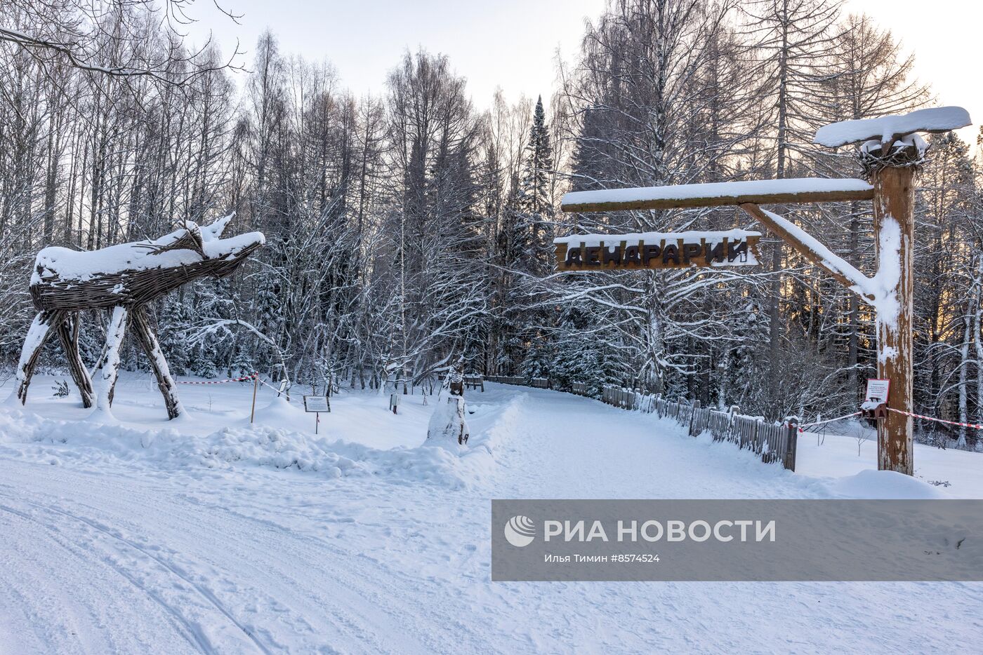 Зима в карельском природном заповеднике "Кивач"