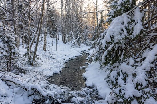 Зима в карельском природном заповеднике "Кивач"