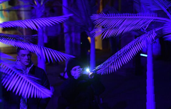  Мультимедийная выставка "Рождество" в лютеранской церкви Анненкирхе