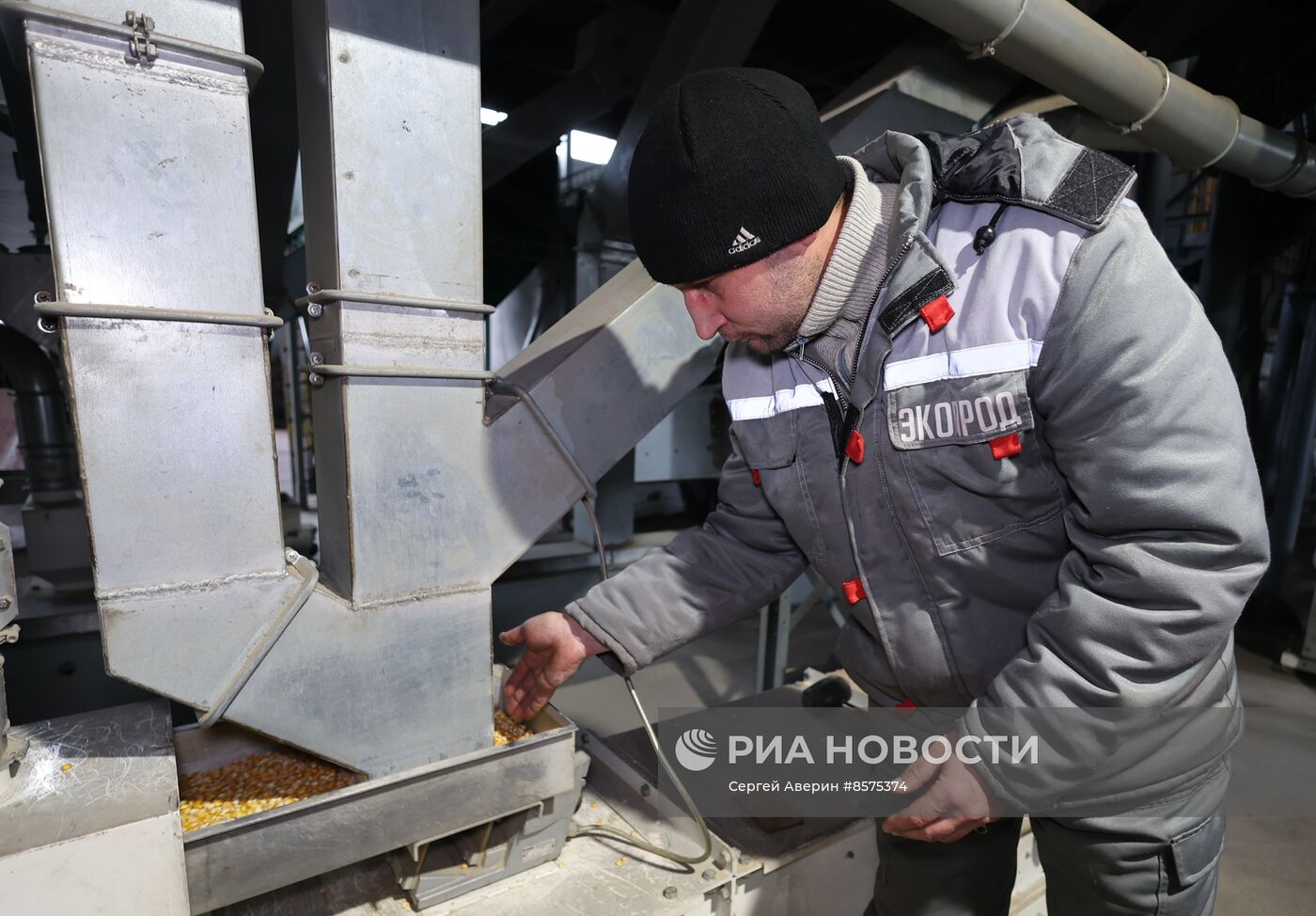 Производство семян в ДНР