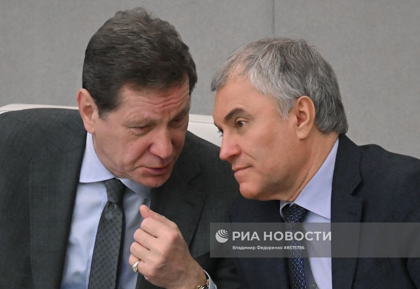Пленарное заседание Госдумы РФ