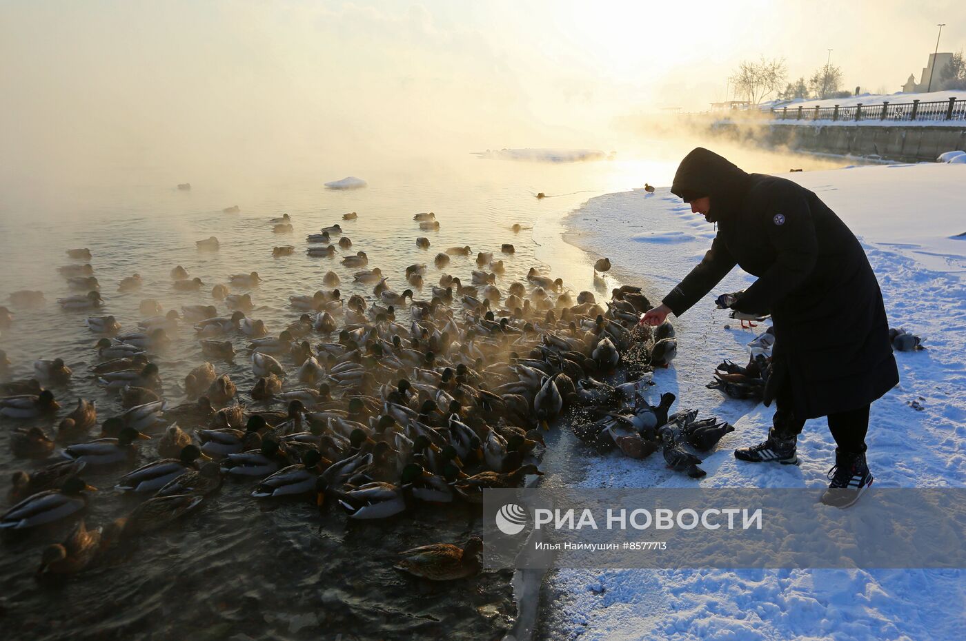 Морозы в Сибири