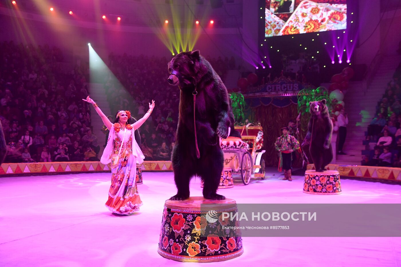 Открытие Международного циркового фестиваля "На языке мира" в Туле