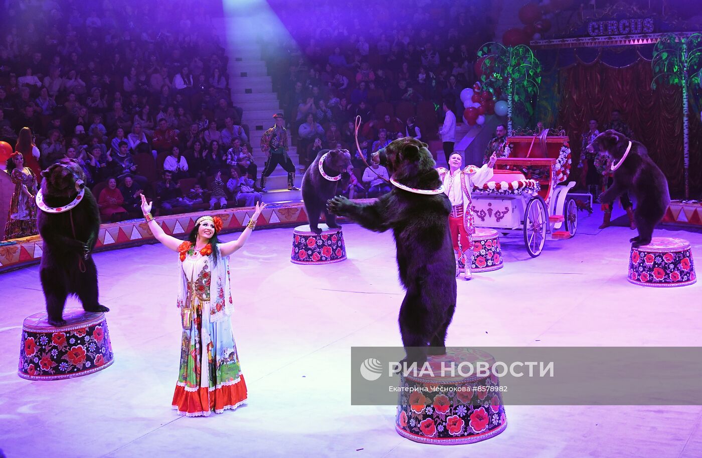 Международный цирковой фестиваль "На языке мира" в Туле