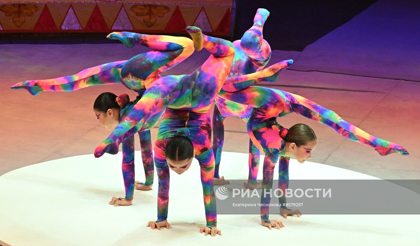 Международный цирковой фестиваль "На языке мира" в Туле