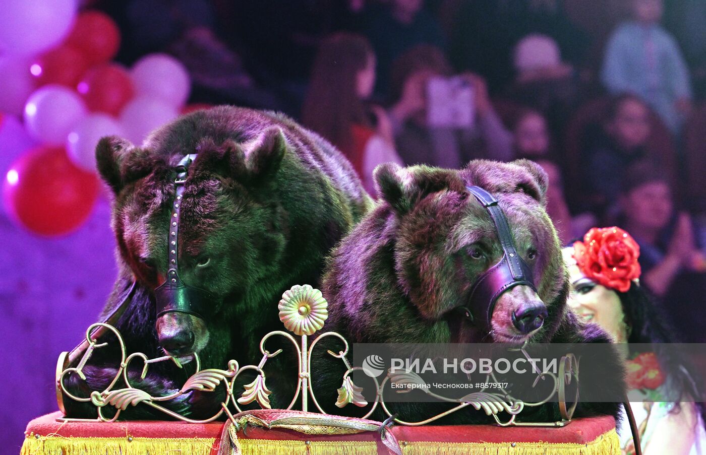 Международный цирковой фестиваль "На языке мира" в Туле