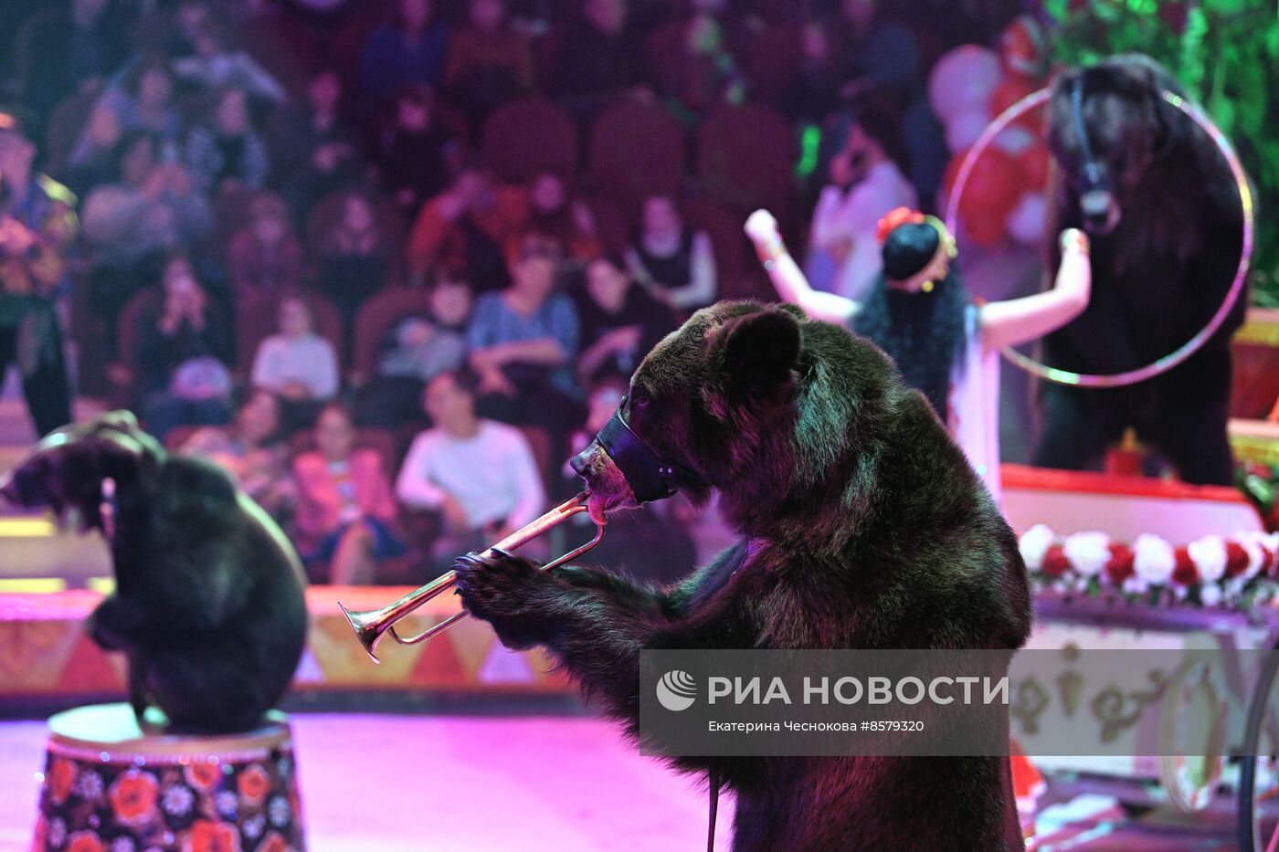 Международный цирковой фестиваль "На языке мира" в Туле