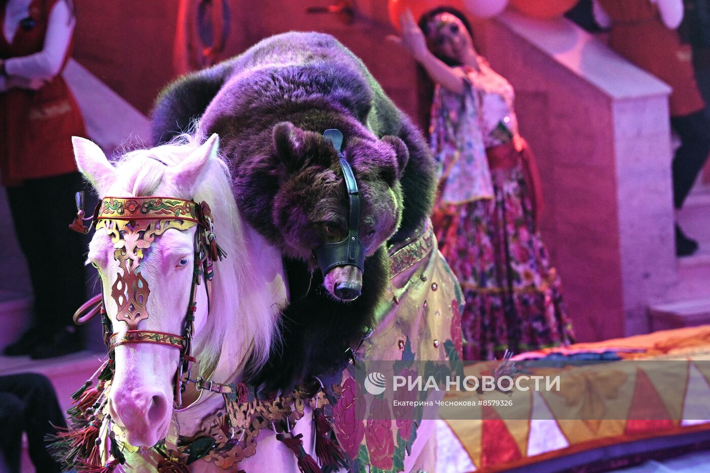 Международный цирковой фестиваль "На языке мира" в Туле