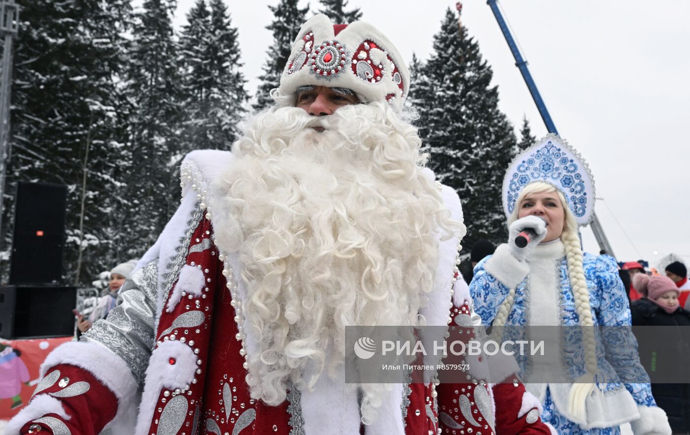 Рубка главной новогодней ели