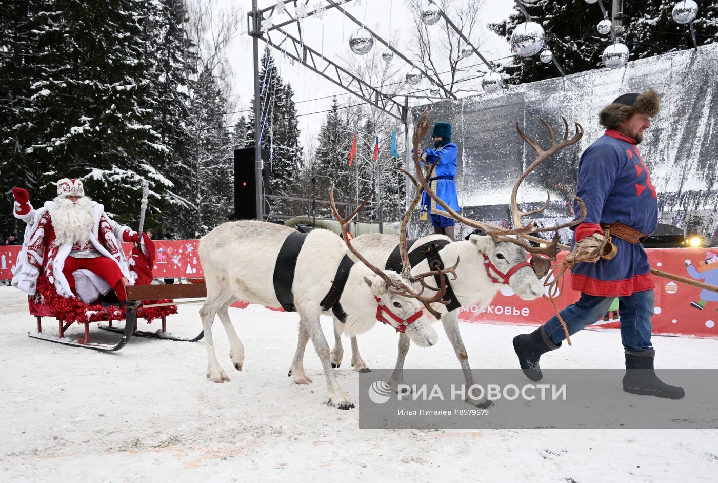 Рубка главной новогодней ели