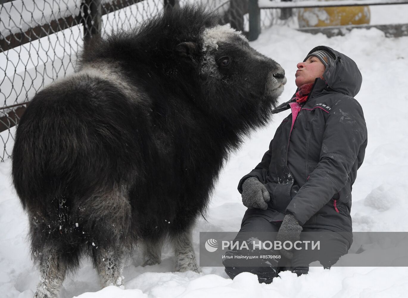 Морозы в Сибири