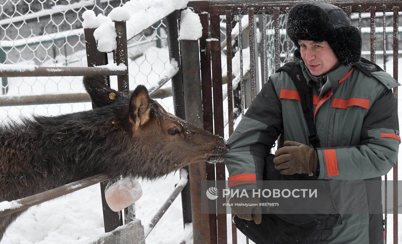 Морозы в Сибири