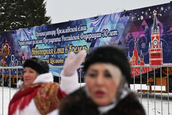 Отправка главной новогодней ели в Кремль 