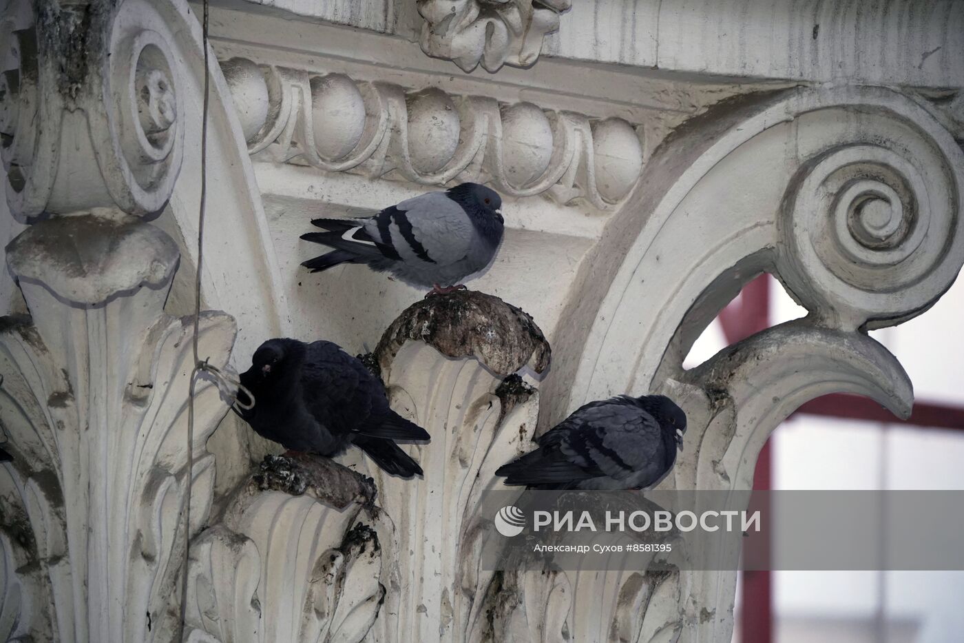 Восстановление Мариупольского драмтеатра