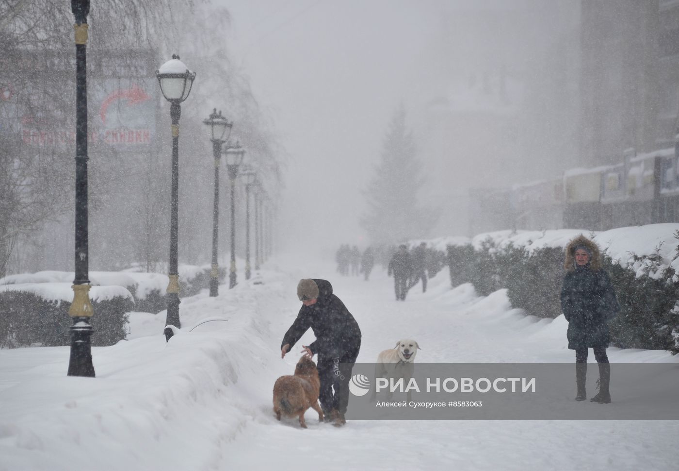 Снегопад в Тамбове