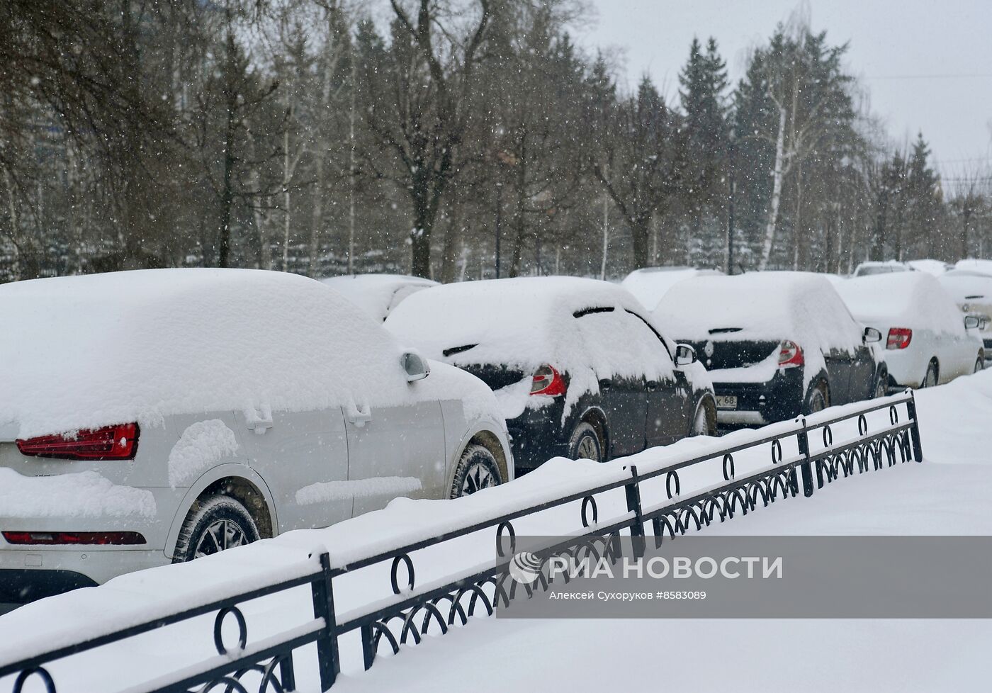 Снегопад в Тамбове