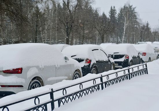 Снегопад в Тамбове