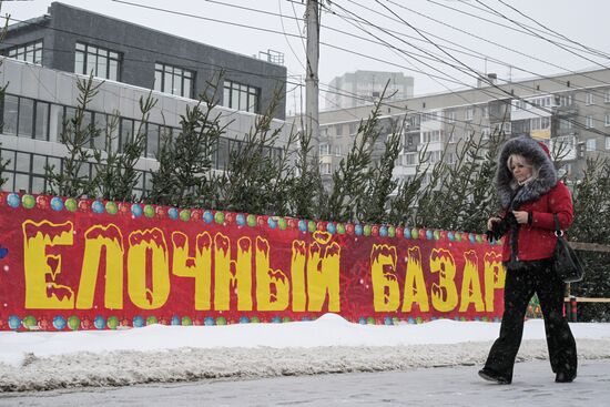 Ёлочные базары в Новосибирске 