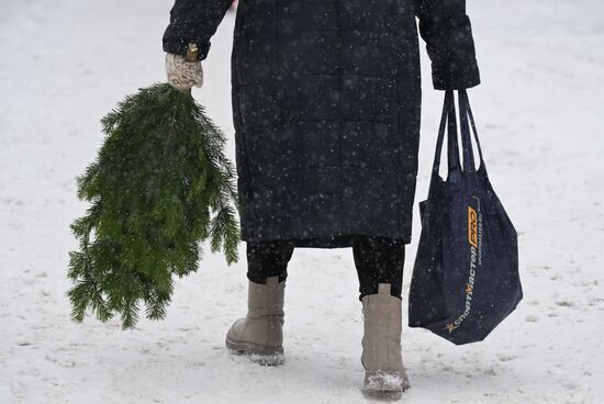 Ёлочные базары в Новосибирске 