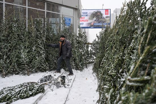 Ёлочные базары в Новосибирске 