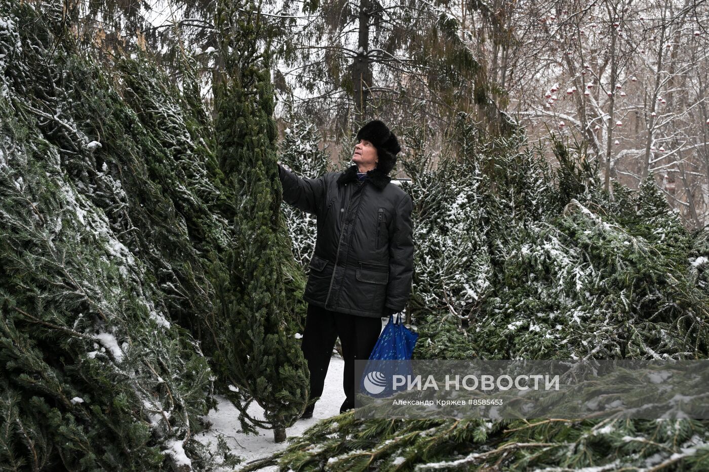 Ёлочные базары в Новосибирске