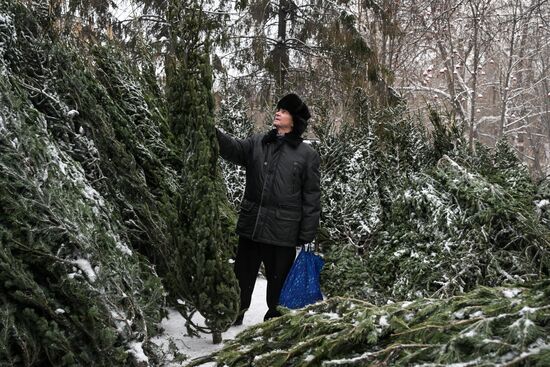 Ёлочные базары в Новосибирске 