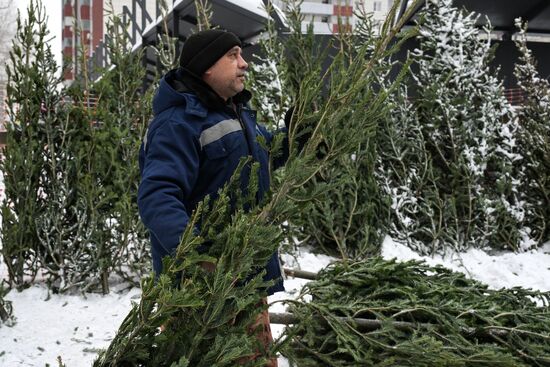 Ёлочные базары в Новосибирске 