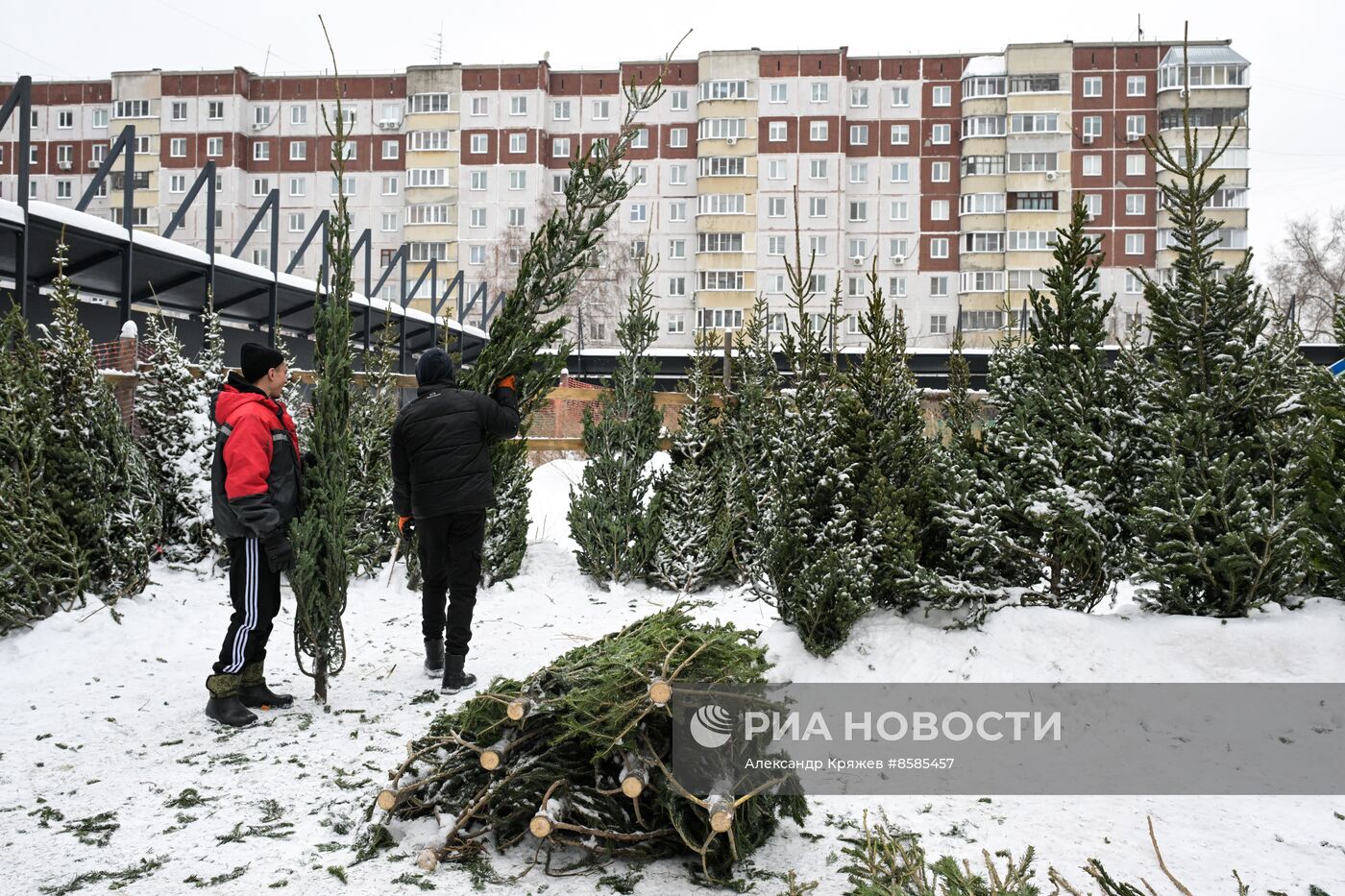 Ёлочные базары в Новосибирске 