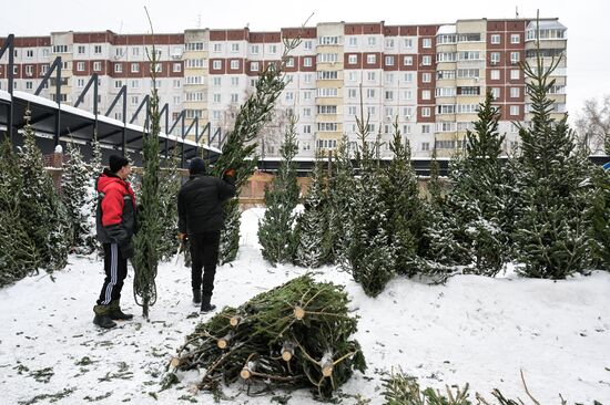 Ёлочные базары в Новосибирске 