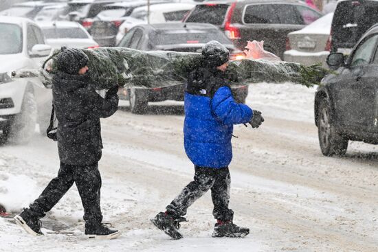 Ёлочные базары в Новосибирске 