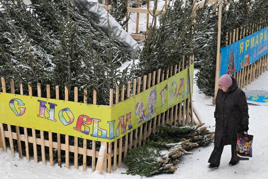 Ёлочные базары в Новосибирске 