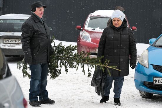 Ёлочные базары в Новосибирске 