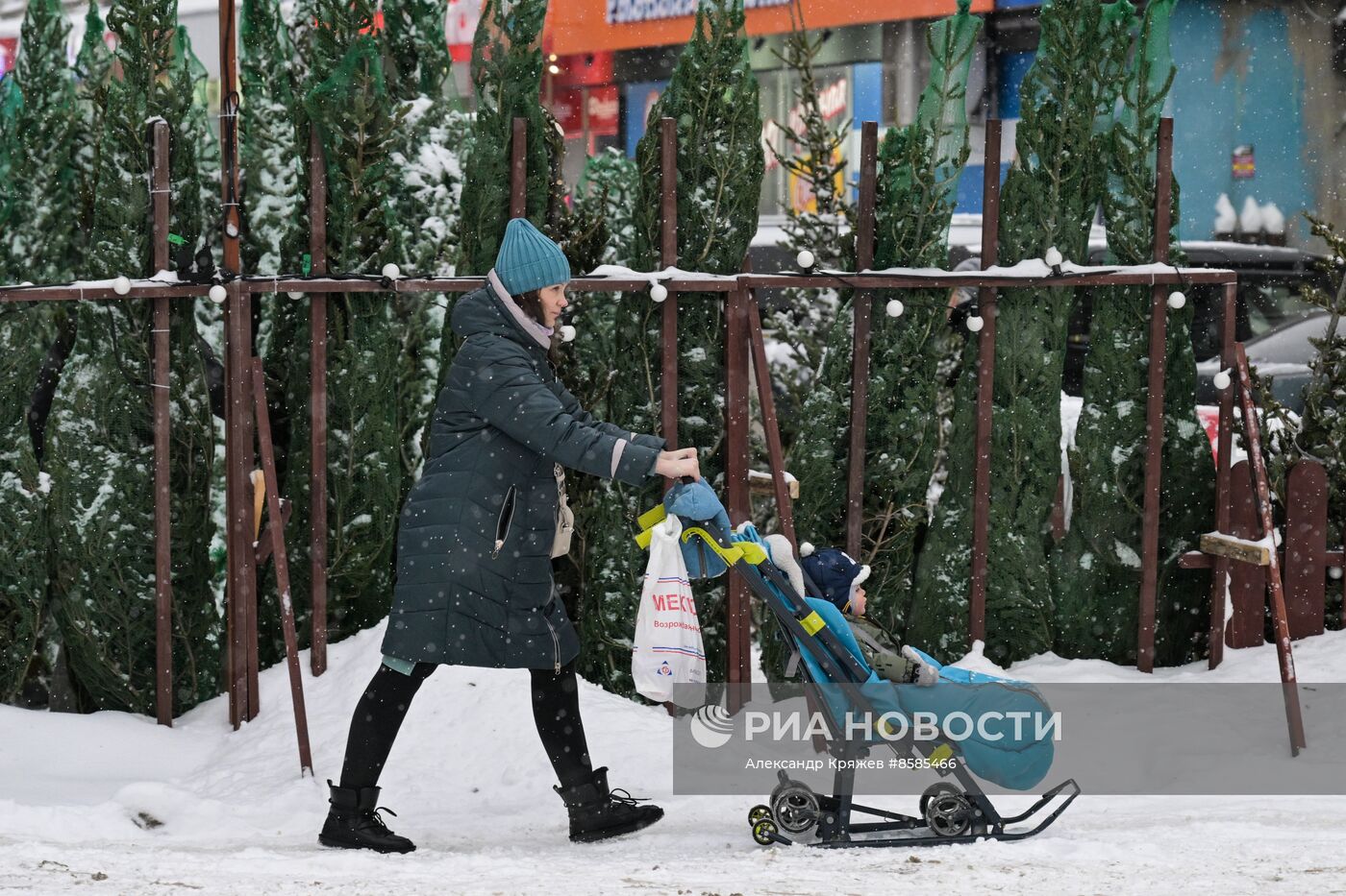 Ёлочные базары в Новосибирске
