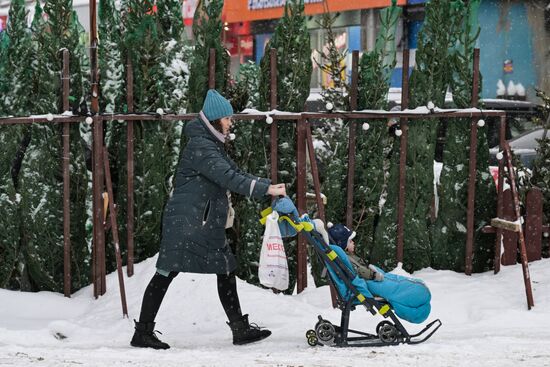Ёлочные базары в Новосибирске 