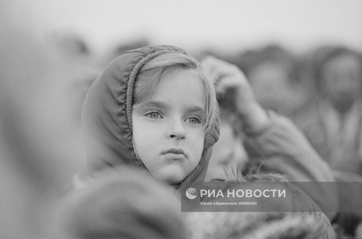 День Бородино