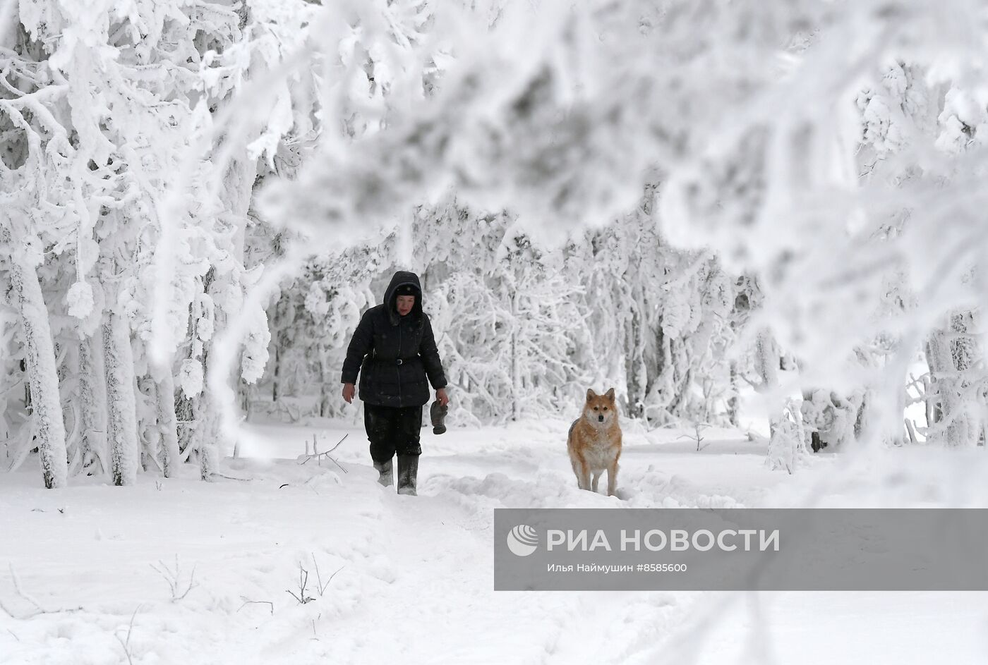Морозы в Красноярском крае