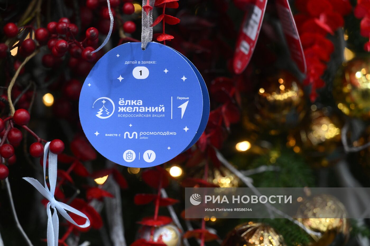 Выставка "Россия". Республика Карелия. День региона