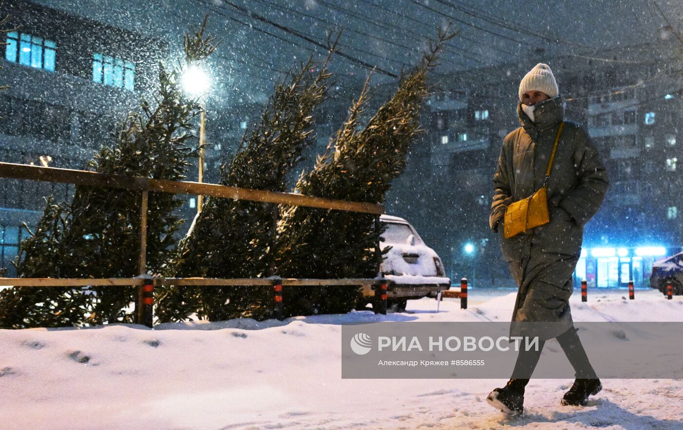 Снегопад в Новосибирске