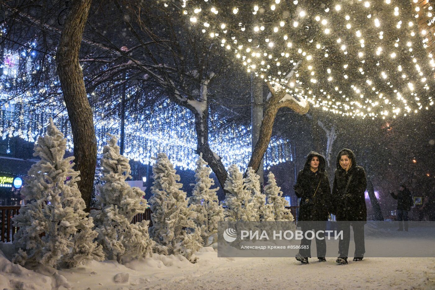 Снегопад в Новосибирске