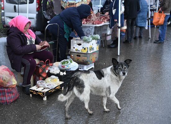 Продовольственная ярмарка в Симферополе