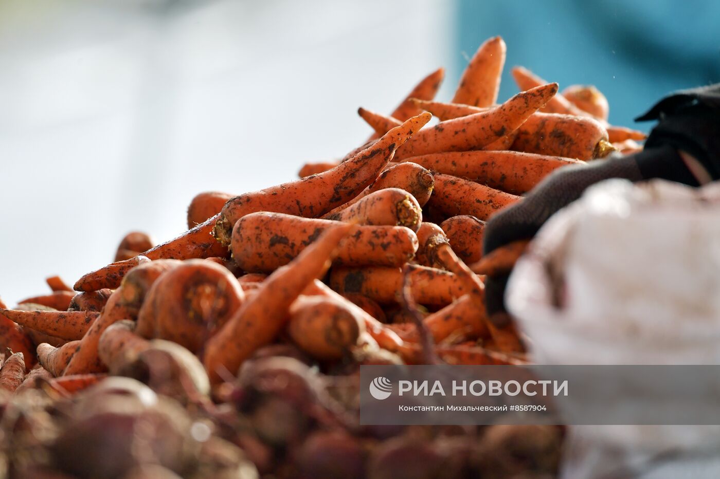 Продовольственная ярмарка в Симферополе