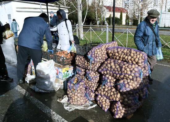 Продовольственная ярмарка в Симферополе