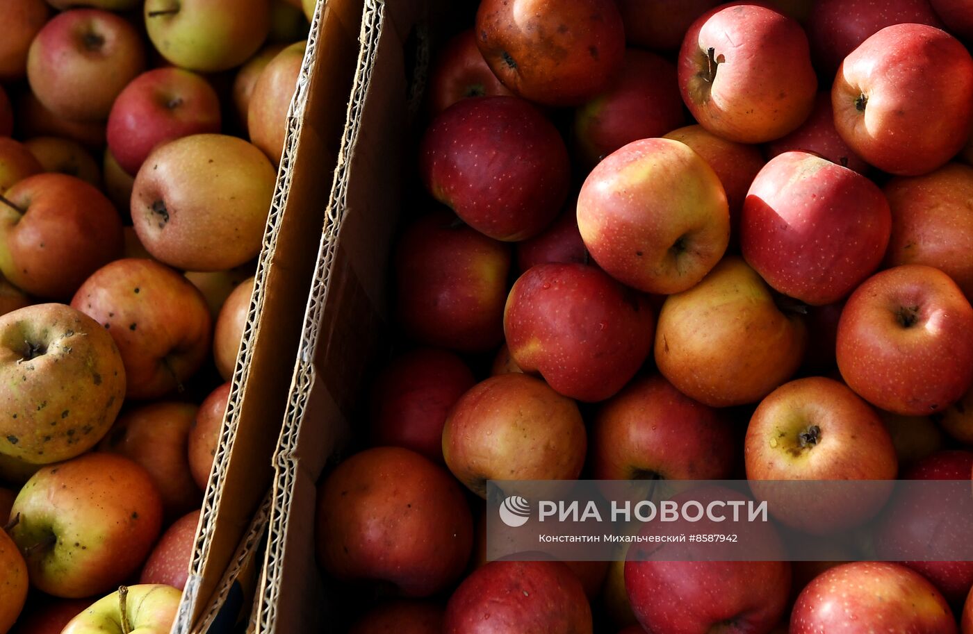 Продовольственная ярмарка в Симферополе