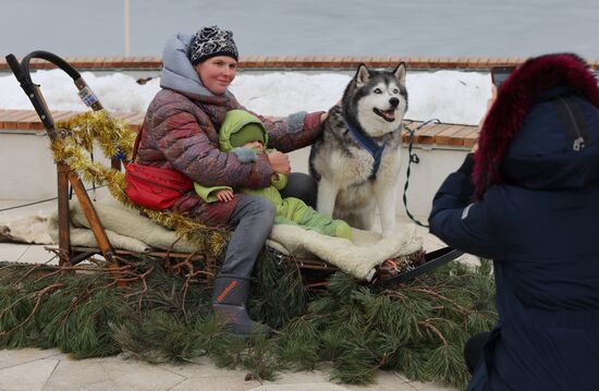 "Хаски-Trail" в Белгороде